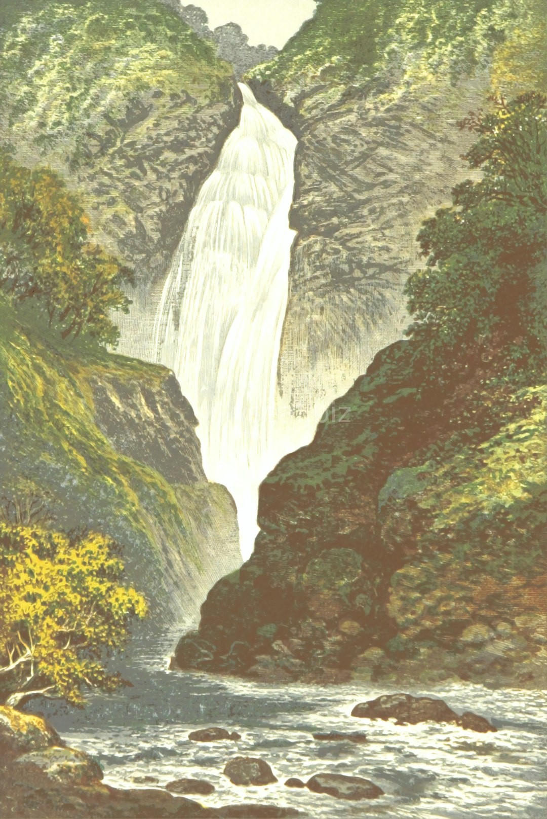 Art 5
